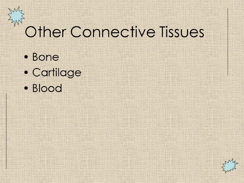 Other Connective Tissues  Bone Cartilage Blood